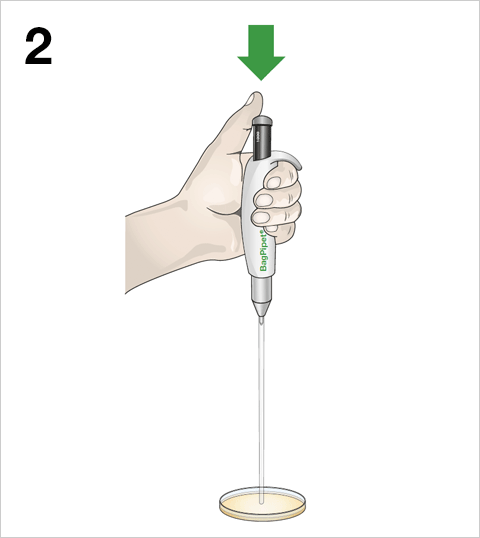 BagPipet - 简约 2